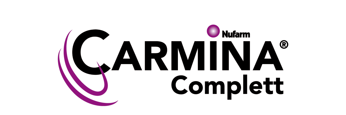 CARMINA ® Complett Logo CARMINA ® Complett